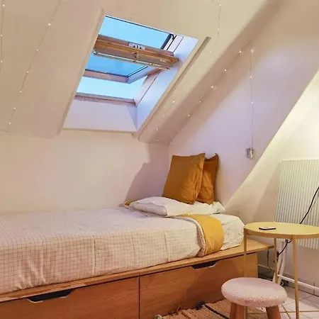 Apartment Roof View With Elevator 1mn St Germain Paris